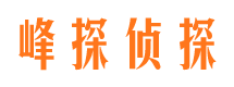 头屯河市调查公司